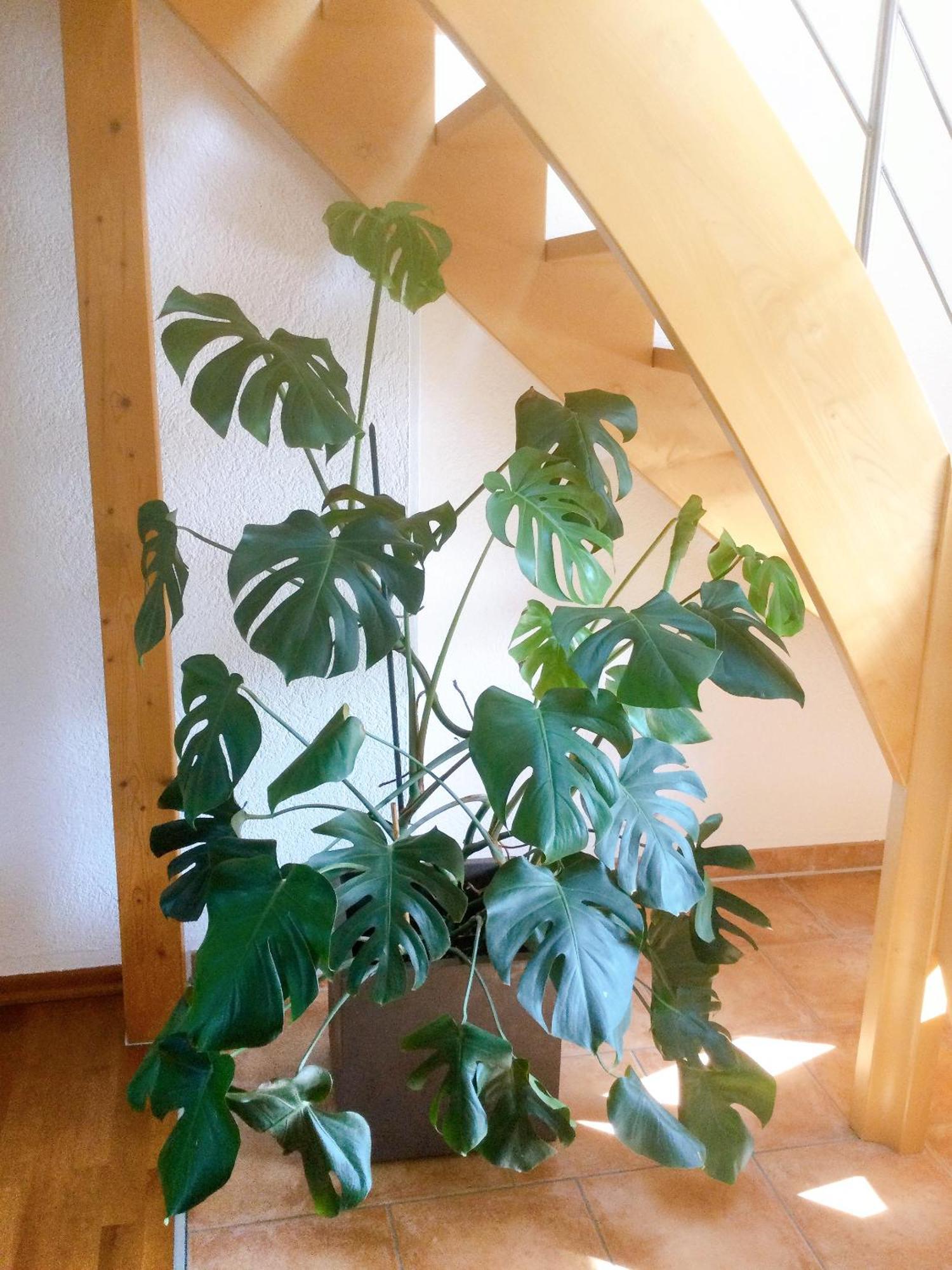 Wohnung Mit Stil Troisdorf Extérieur photo